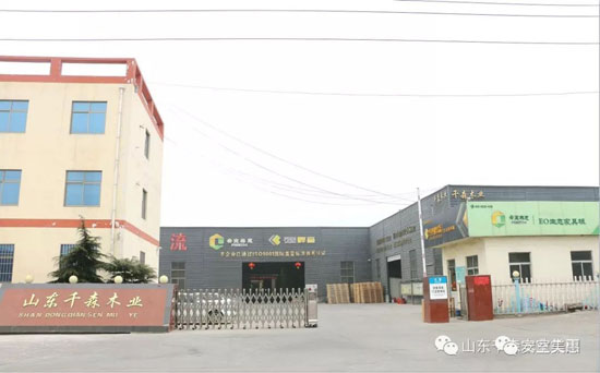 安室美惠板材，等待你發(fā)現(xiàn)的美