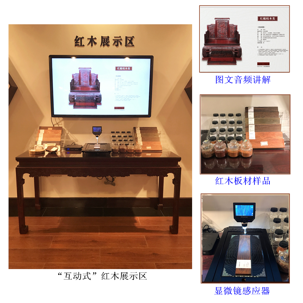 博覽千年紅木，再現(xiàn)百年家具！美聯(lián)紅木文史館全面升級(jí)！